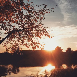 photo & video by pbelov