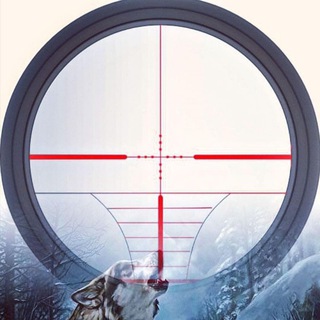 🔥СВОДКИ🔥