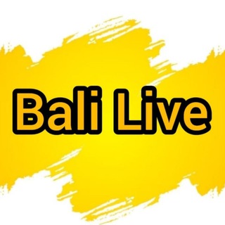 Бали Чат - Bali Live