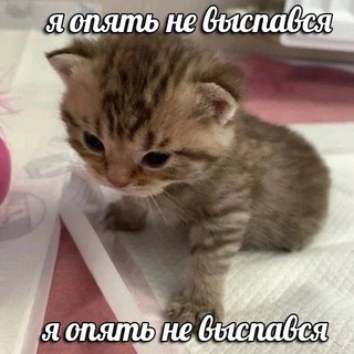 Мета Мфетамин