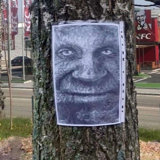 ♀️Мем общее♂️