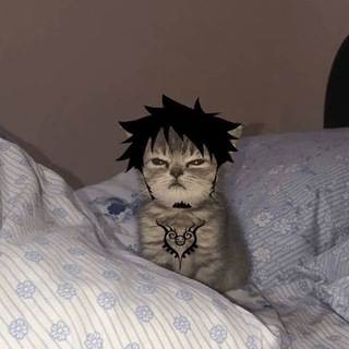 allister's shitshots[ASS]🕎