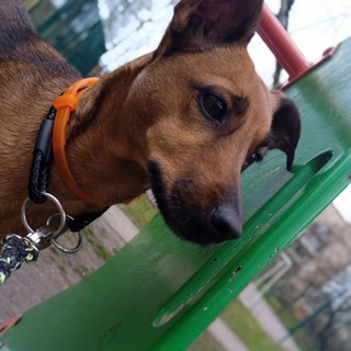 💗Изабель🐾