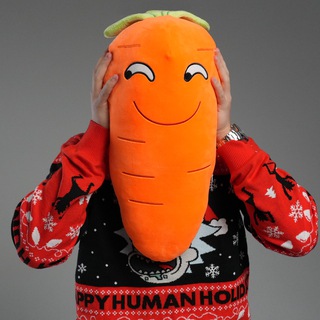 ДРУЗЬЯ ЗЕНИ