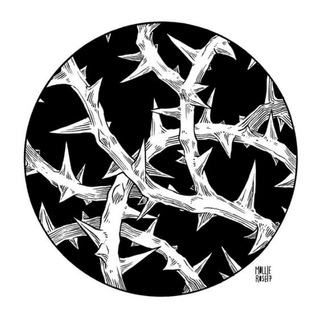 Запретная секция