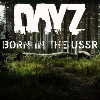 Born in the USSR -DayZ