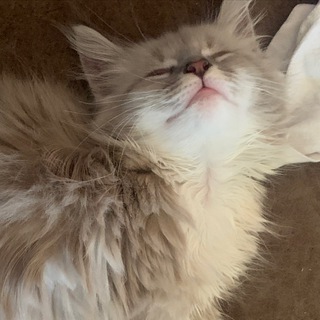 Иконы Плачут