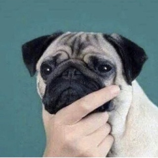 Это Кимры и это новости