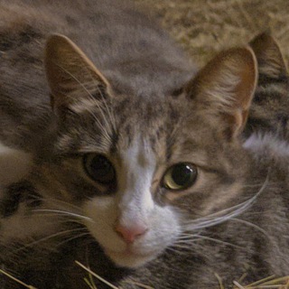 Какие-то фотки