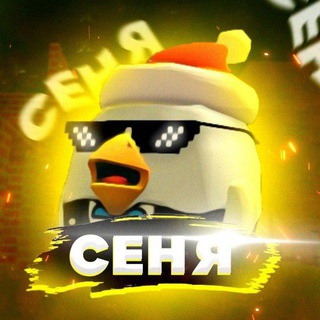 🎄Кур Кур Сеня🎄