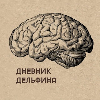 Дневник Mr. 🐬