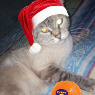 Героиновая Муррка|Murrka everyday