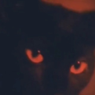 Roma I̶n̶Victia🍓