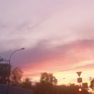 в тихом омуте 🥷