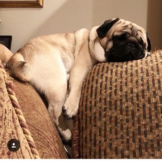 Эстетика пофигизма