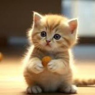 Попаяркиland News 😜