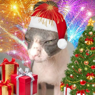 𝙈𝘼𝙉𝙄 𝙎𝙇𝙄𝙑❄