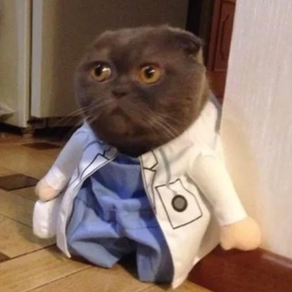 в поликлинике 🩺