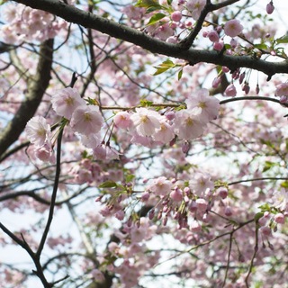 Не продается вдохновение