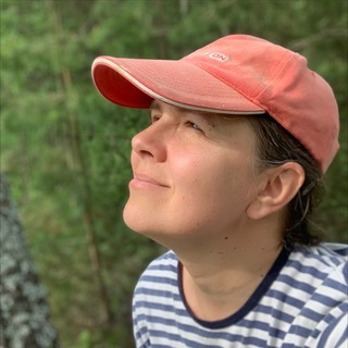 Телебложик Ирины Шеян