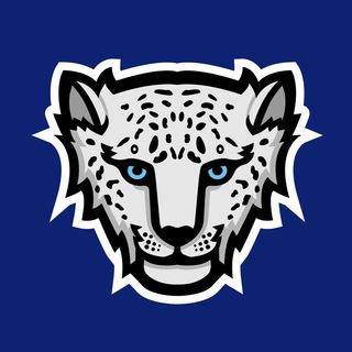 Студенческий совет ИУРР🐾💙