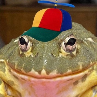 Вестник дури