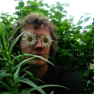 Кабачок Тертишного