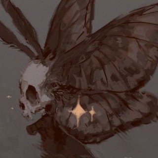 Берлога снежного гуся⛄️