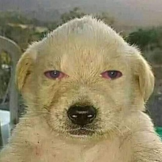 •что-то в глаз попало•