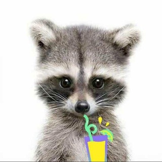 Енот и компот