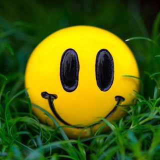 Смешные видео 🔥😅