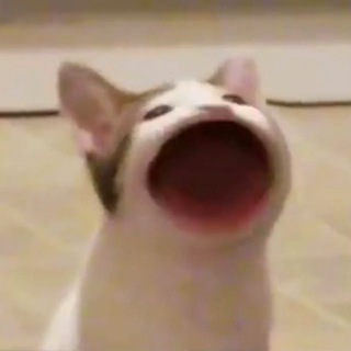 Осторожно, не наступи на мои мемы