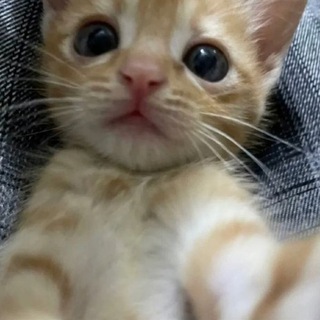 {millionaires}/закрыт