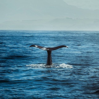 Глубина внутри тебя🌊