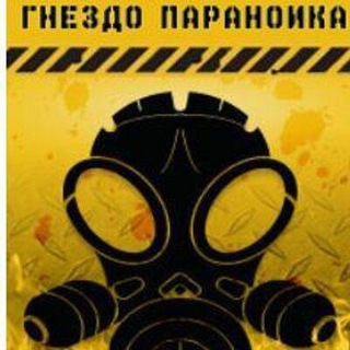 Гнездо параноика IT/sec