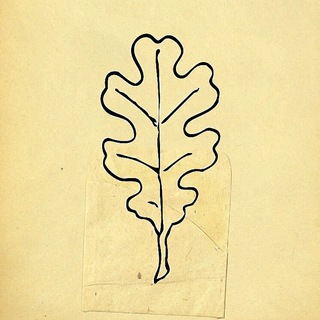 Генеалогика