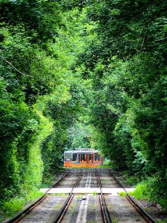 Куда пойти в Москве