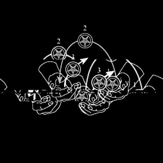 цирк с козлами