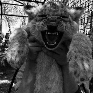 Честь и отвага🫀