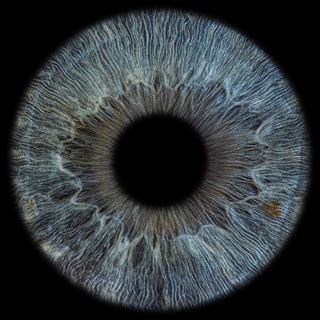 синдром Бога