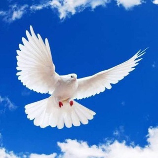 Дневник Михаила Голубина