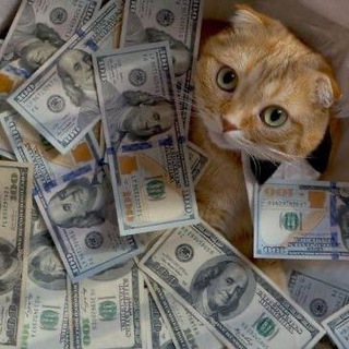 Анонс Заданий🚨