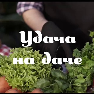 Удача на даче