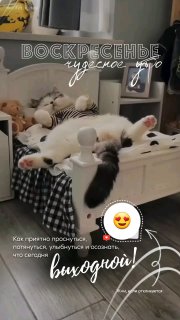 СТОРИС ☕ ДОБРОЕ УТРО 👋