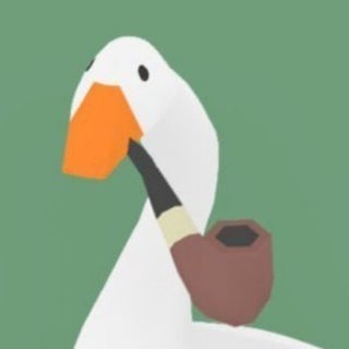 Гусь На Проверке