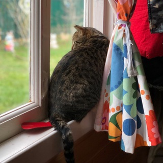 Городские дачники