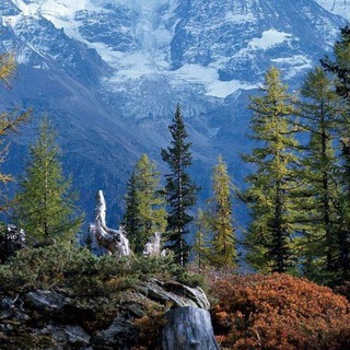 ГОРНОЕ БЕЗУМИЕ - экскурсии по Кавказу