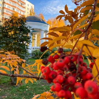 Горский микрорайон Новосибирск