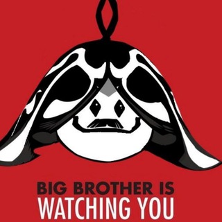 Аранарочная (genshin impact & Honkai star rail)