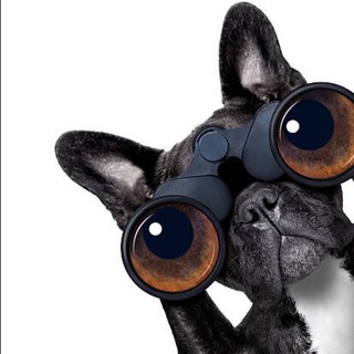 Самарский Обозреватель